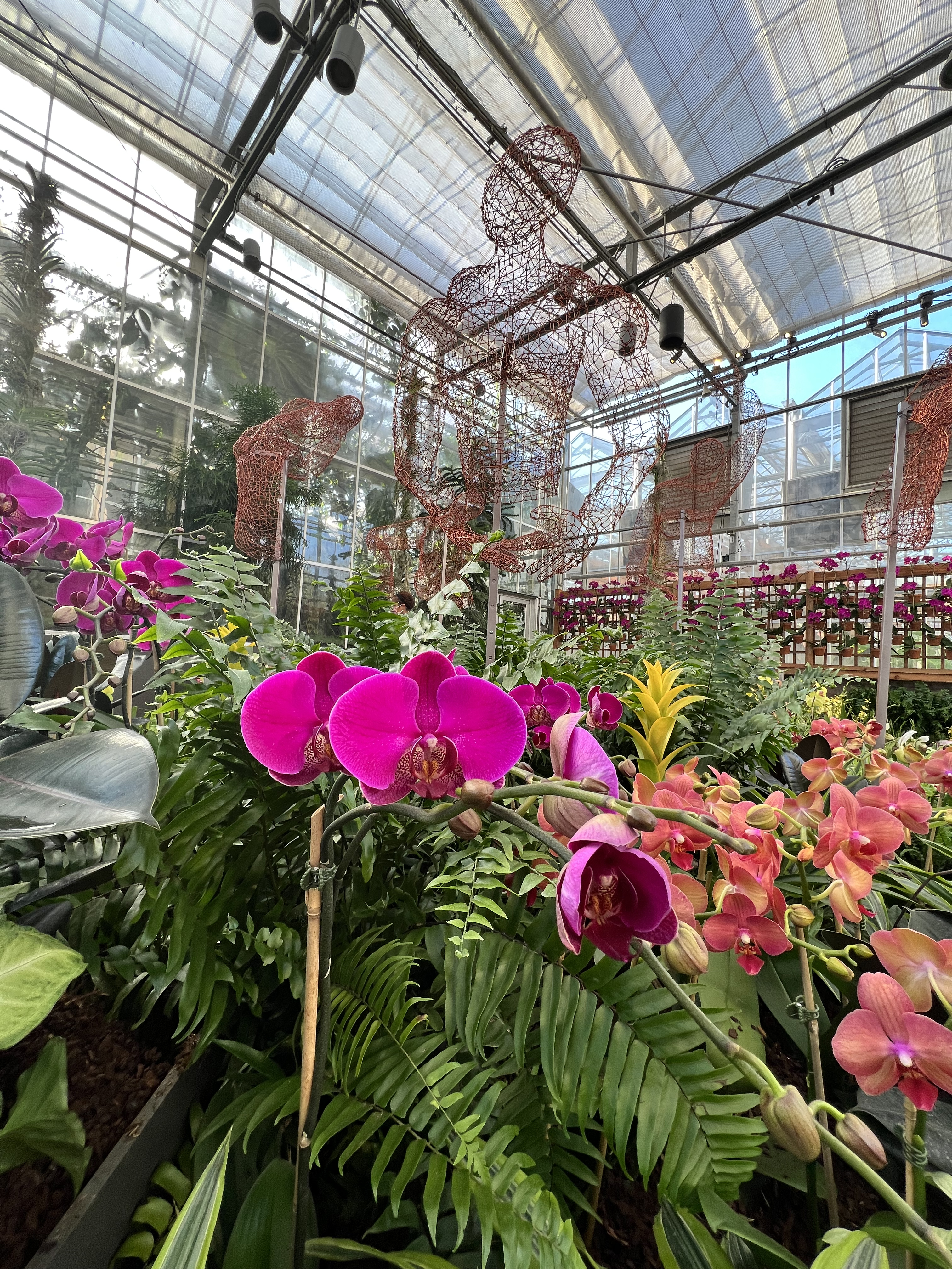 Orchid Daze at Atlanta Botanical Garden | Discover Atlanta