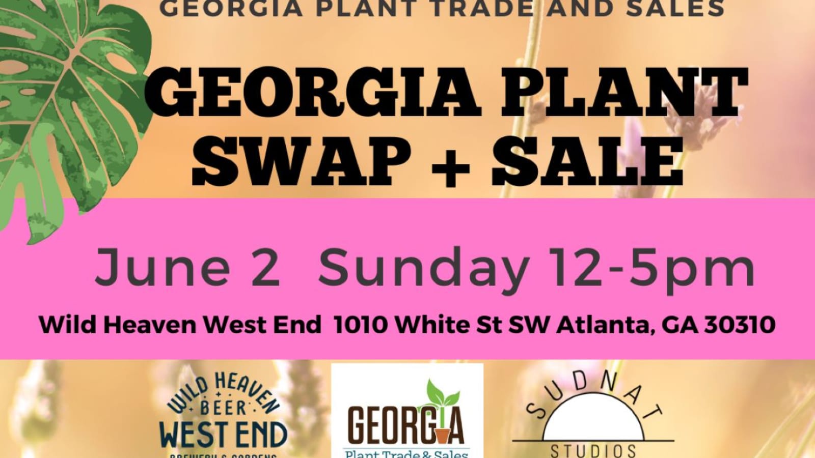 Georgia Plant Swap + Sale June Bug