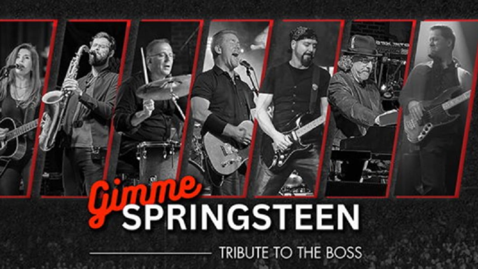 Gimmie Springsteen!