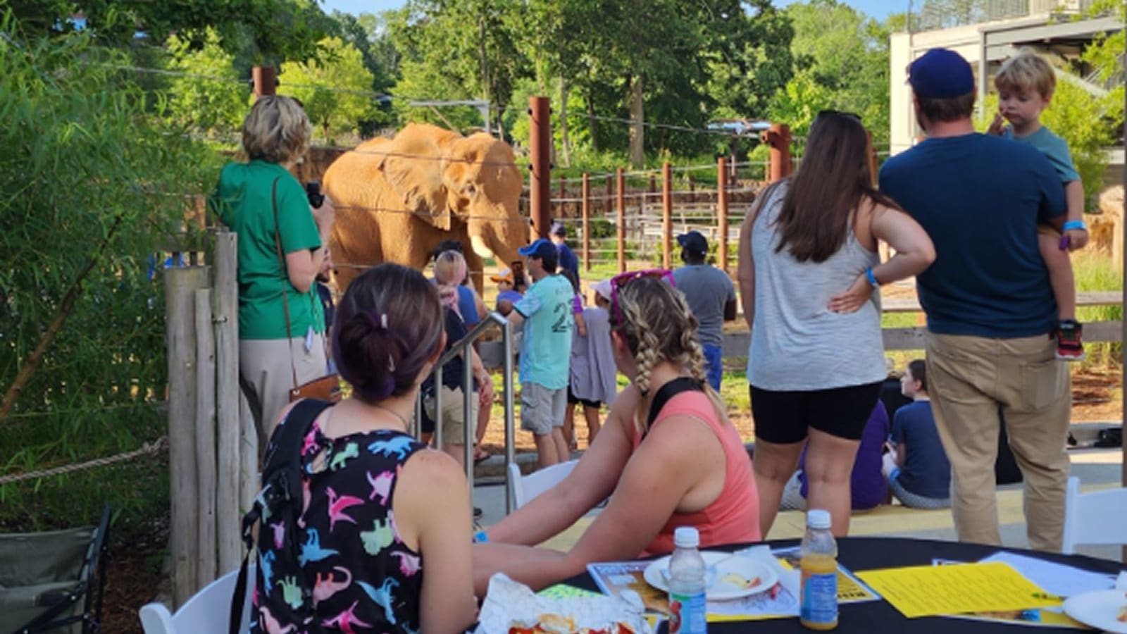 Rise and Dine with the Animals at Zoo Atlanta