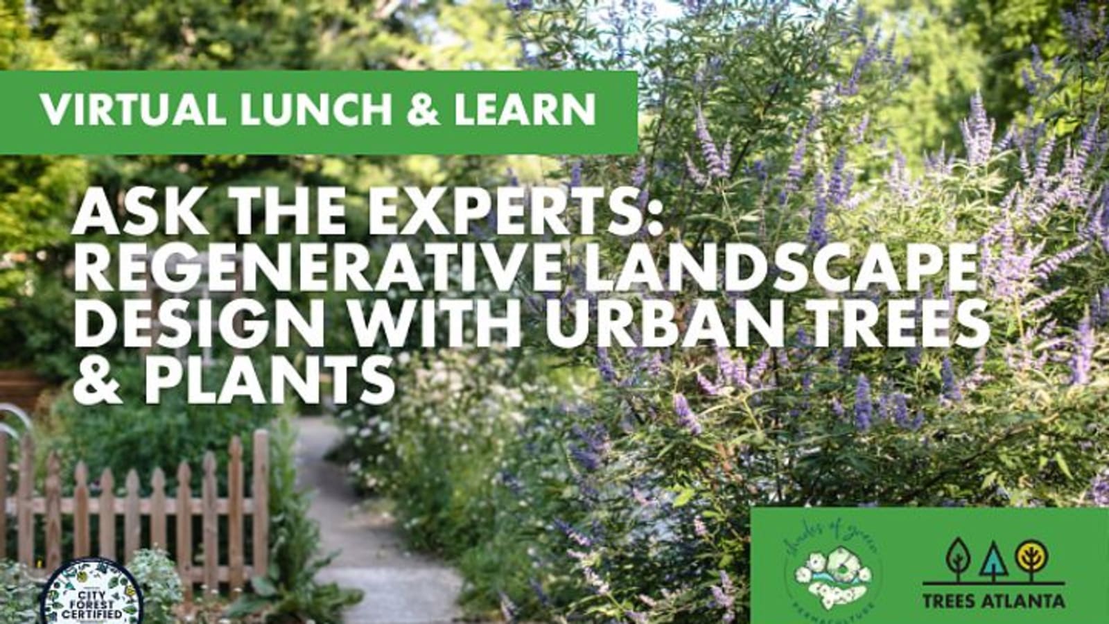 Regenerative Landscape Design with Native Trees