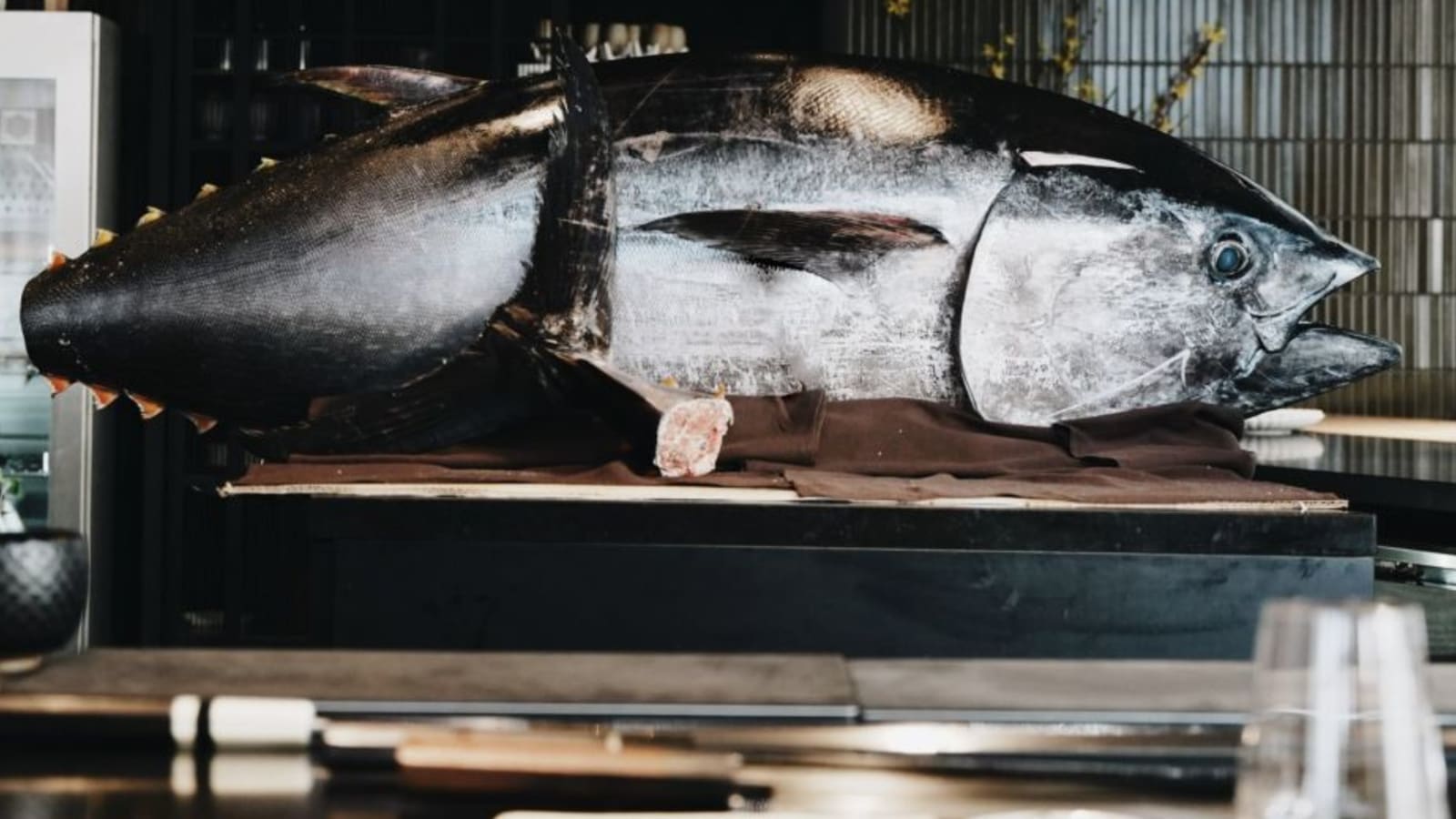 O by Brush Tuna Cutting & Tasting Experience
