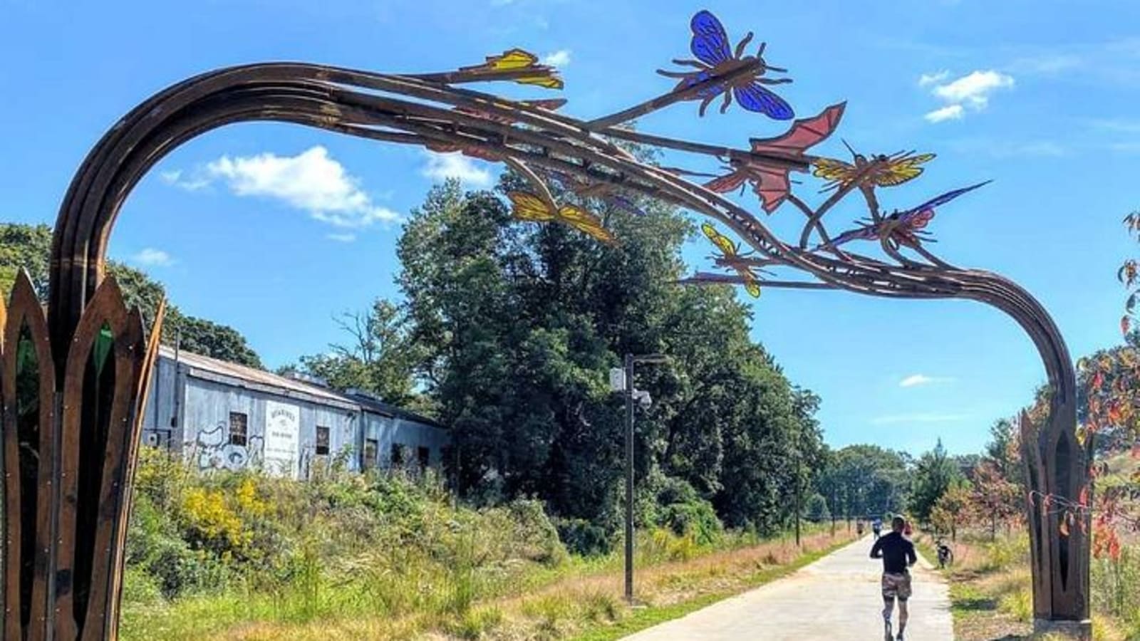 Sunset Tree Tour: Atlanta Beltline Arboretum