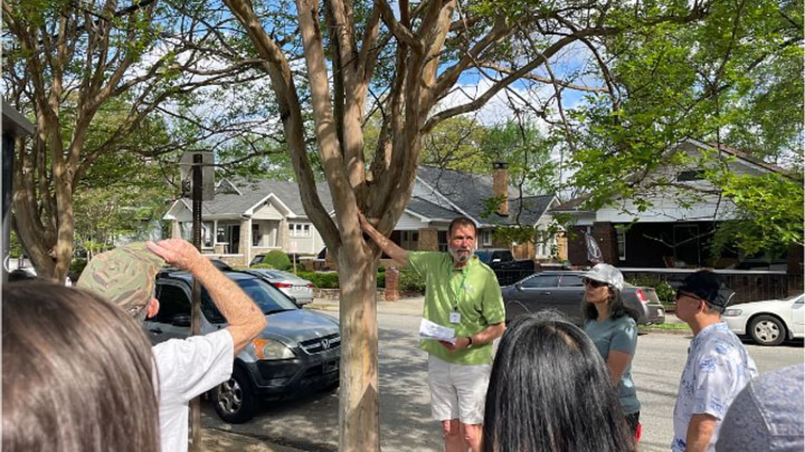 Tree Tour: Virginia-Highland