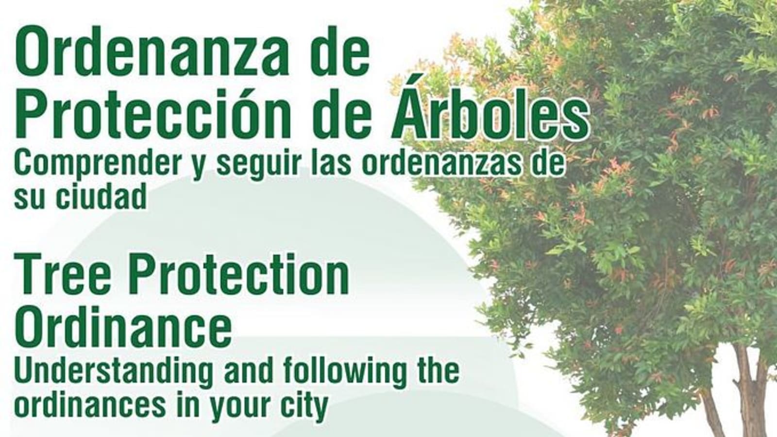 SPEAKER SERIES: Ordenanza de Proteccion de Arboles