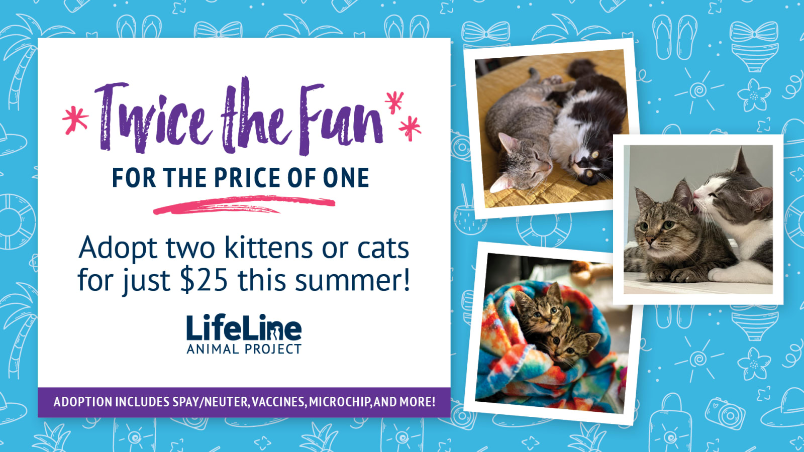 Twice the Fun Cat Adoption Event