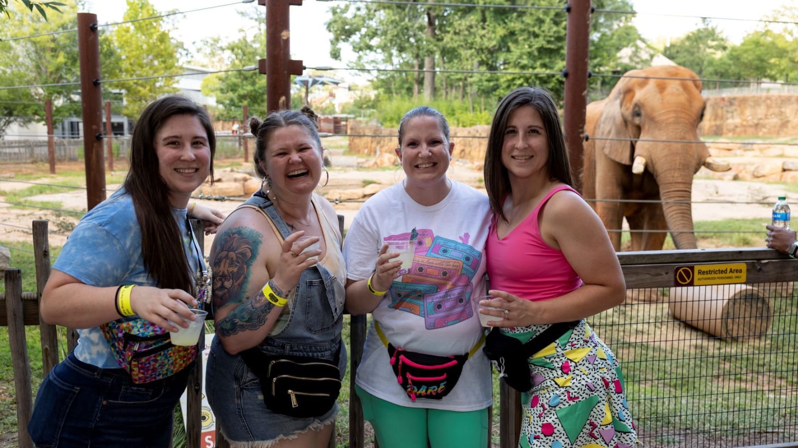 Savanna Nights at Zoo Atlanta