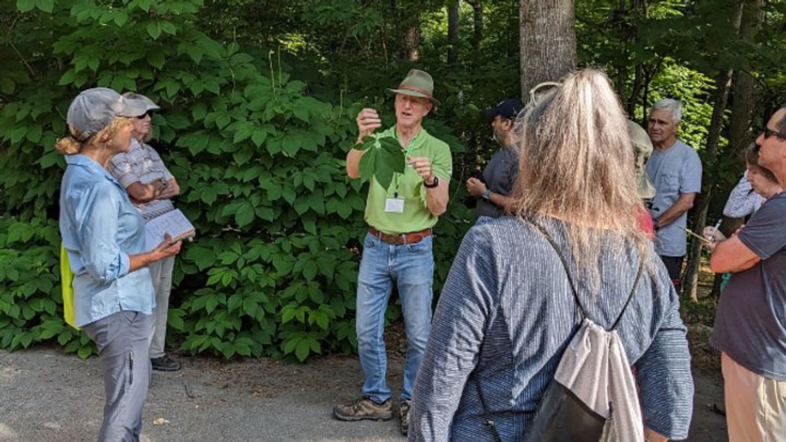 Summer Tree ID with the CNPC