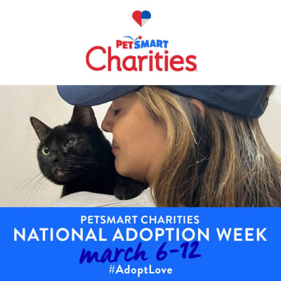 Petsmart kitten adoption events cheap