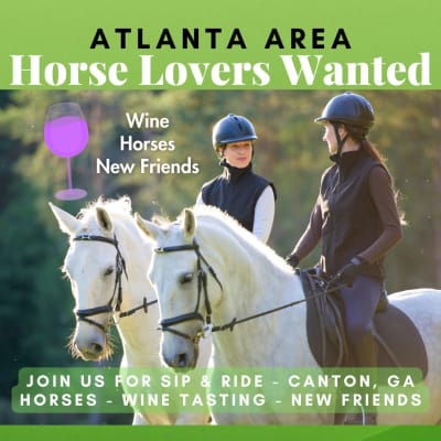 Horses, Wine & New Friends (Sip & Ride)