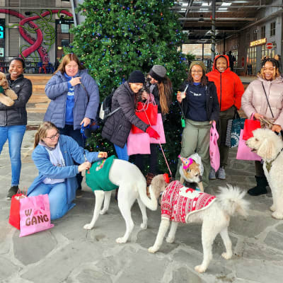 Santa Paws Howliday Crawl