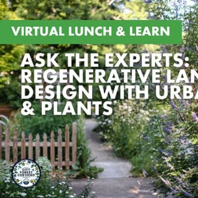 Regenerative Landscape Design with Native Trees