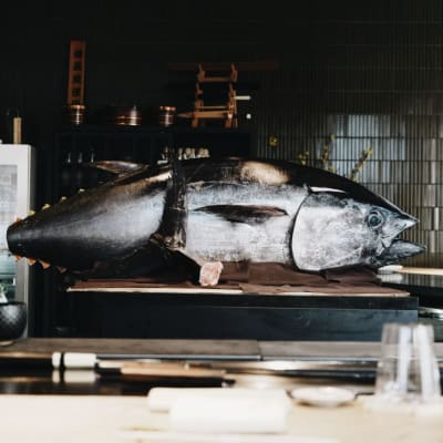 O by Brush Tuna Cutting & Tasting Experience
