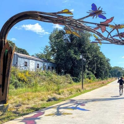 Sunset Tree Tour: Atlanta Beltline Arboretum