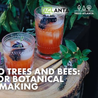 Trees & Bees: Pollinator Botanical Cocktail Making