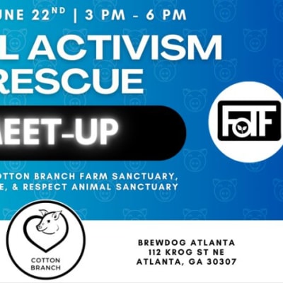 Animal Activism and Rescue