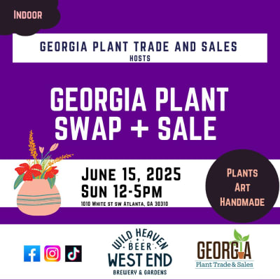 Georgia Plant Swap + Sale Sunny Days