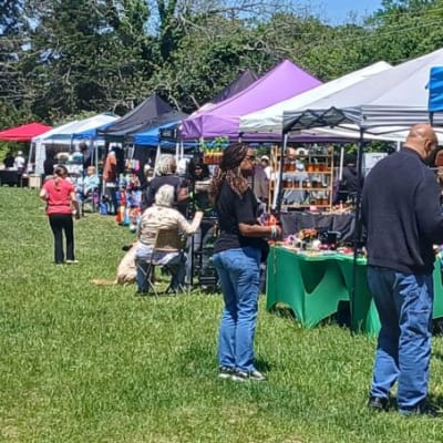 Stone Mountain Village Pop-Up Market