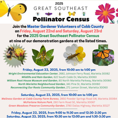Webinar:  Great Southeast Pollinator Census