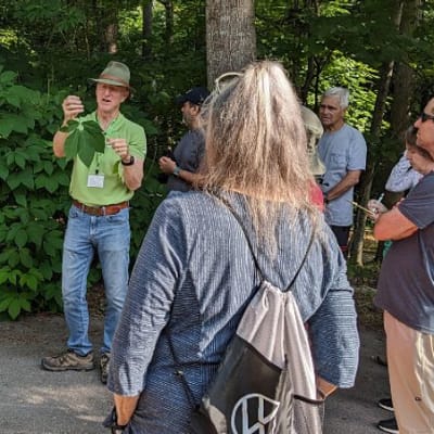 Summer Tree ID with the CNPC