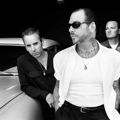 Social Distortion