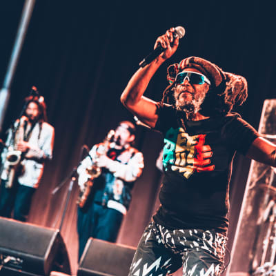 Steel Pulse