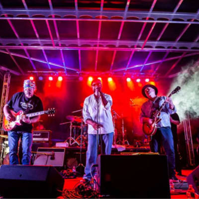 Concerts for a Cause - The Long Run