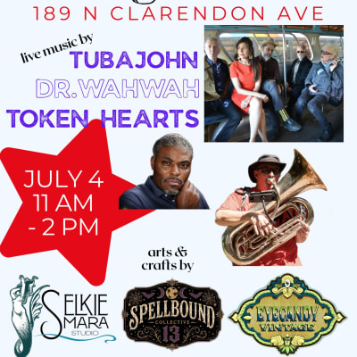 Village Music Grand Reopening Party In The Park